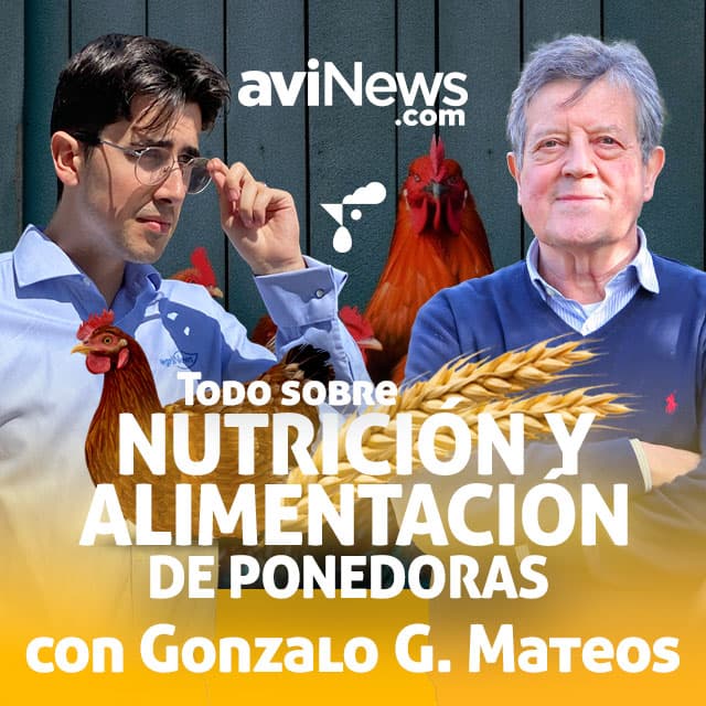 ¿Qué opina el Dr. Gonzalo González Mateos sobre la NUTRICIÓN en GALLINAS PONEDORAS?