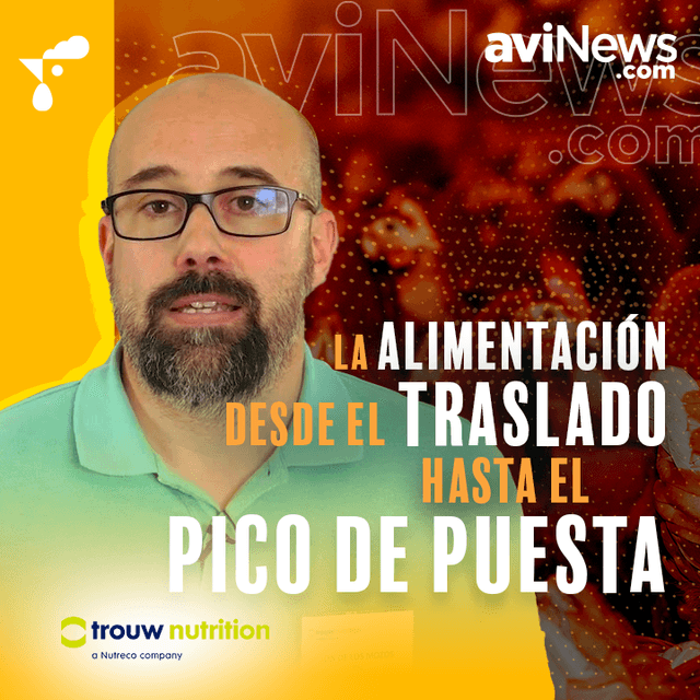 La alimentación desde el traslado hasta el pico de producción con Jon de los Mozos