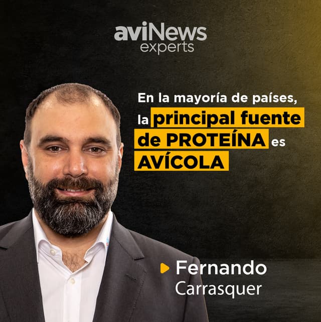 El SECTOR AVÍCOLA tiene una gran RESPONSABILIDAD con la SOCIEDAD – Fernando Carrasquer | aviExperts
