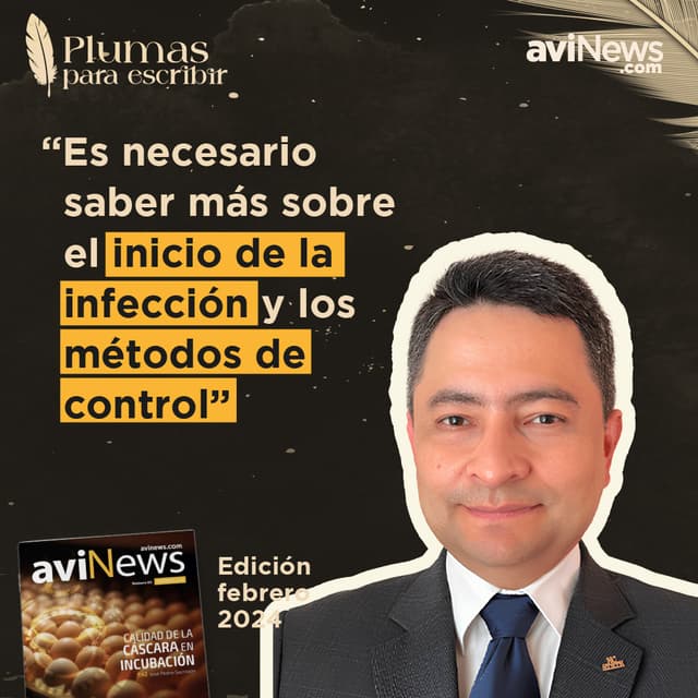 KINKY BACK, CAUSAS y SÍNTOMAS de una de las principales enfermedades de POLLOS – Edgar Oviedo