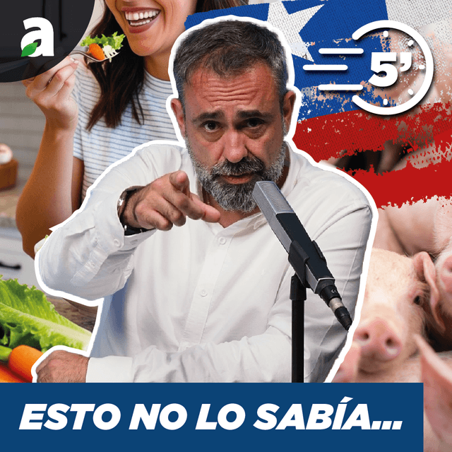 Estudio sobre IMPACTO DIETA VEGETARIANA, Chile erradica PRRS, aumenta PPA | Informativo semanal 31/07/24