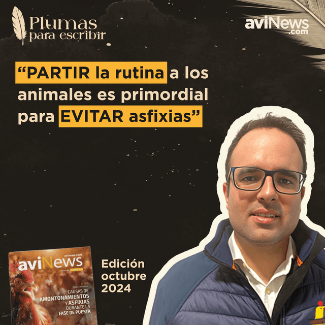 Evita AMONTONAMIENTOS y ASFIXIAS en gallinas durante la fase de puesta | Diego Cortés