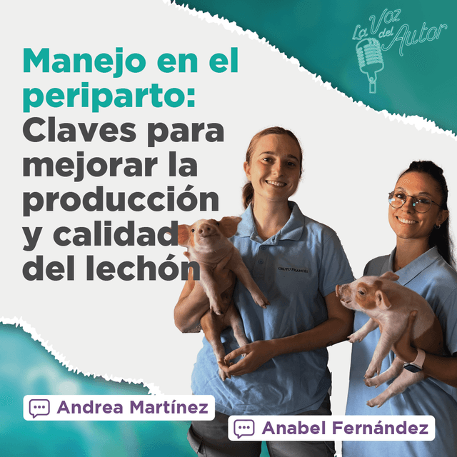 Las CLAVES para MEJORAR la PRODUCCIÓN y CALIDAD del LECHÓN