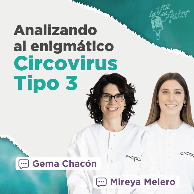 TODO lo que DEBER SABER sobre CIRCOVIRUS PORCINO TIPO 3 (PCV-3)