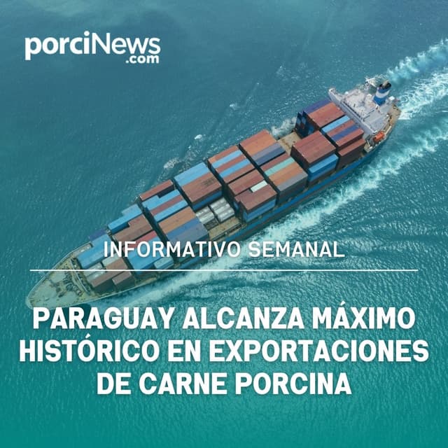 Exportaciones porcinas de Paraguay y Brasil, AMVECAJ | Informativo porciNews LATAM