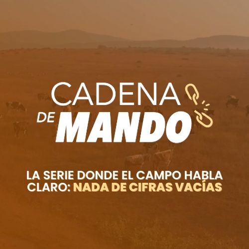 Cadena de Mando