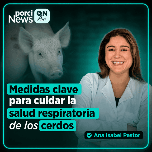 ¿CÓMO podemos CUIDAR la SALUD RESPIRATORIA de los CERDOS? Con Ana Isabel Pastor