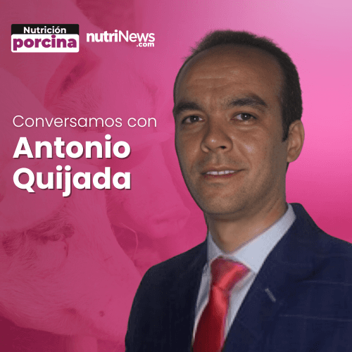 Nuevo PIENSO que mejora la SALUD INTESTINAL en CERDOS IBÉRICOS, con Antonio Quijada