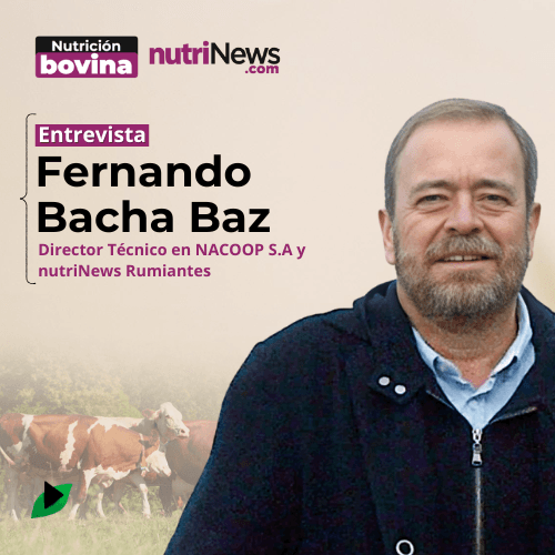Digestión postruminal: el eslabón olvidado de la PRODUCTIVIDAD en rumiantes, con Fernando Bacha