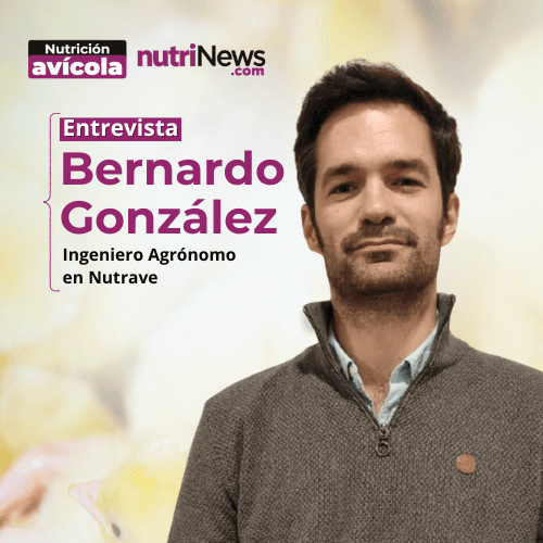 NUTRICIÓN en POLLOS de CRECIMIENTO DIFERENCIADO e inclusión de CAROTENOS con Bernardo González Aliseda