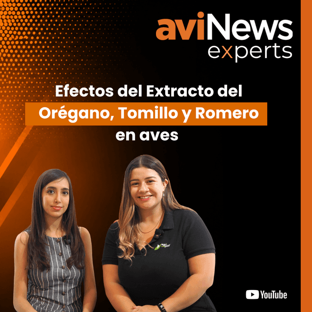 Orégano, tomillo y romero en avicultura: beneficios para la salud intestinal | Elizz Flores