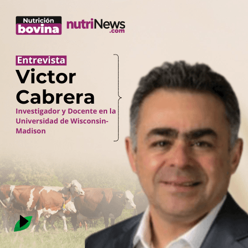 ¿Qué es DAIRY BRAIN?, con Víctor Cabrera