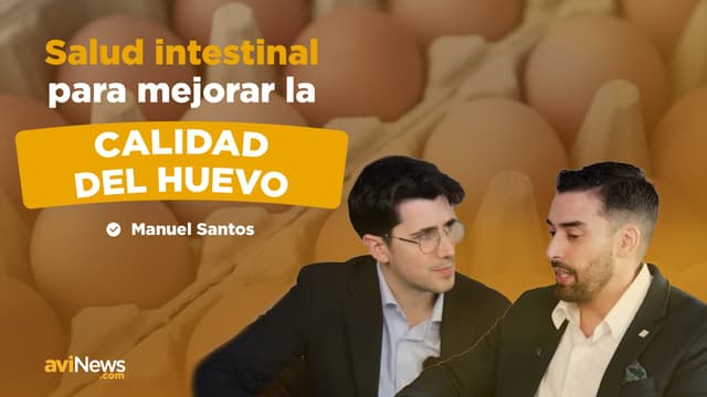 Más allá de la cáscara: claves para una puesta eficiente y sostenible