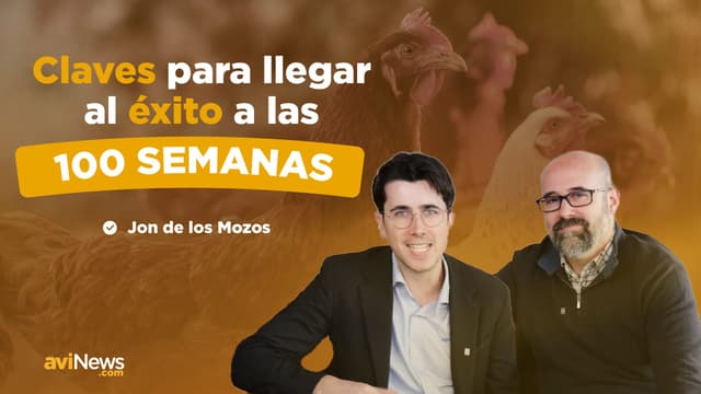 Ciclos largos en puesta: claves para mejorar productividad, calidad y rentabilidad