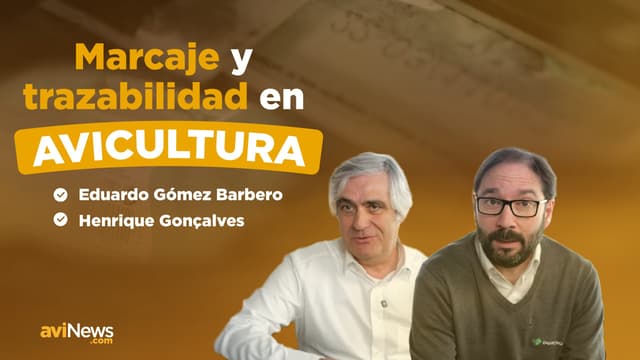 Marcaje y trazabilidad del huevo: una pieza clave para la seguridad alimentaria