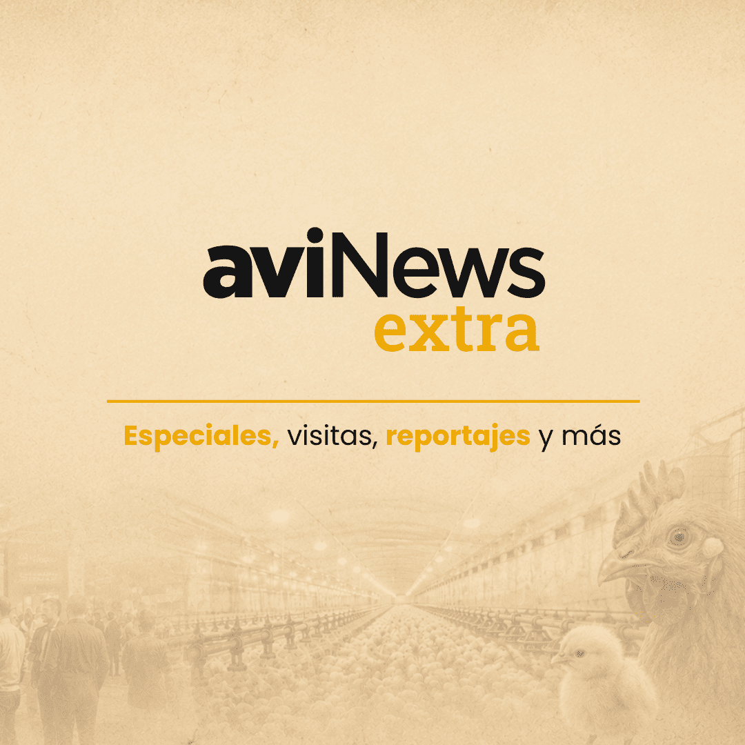 aviNews extra