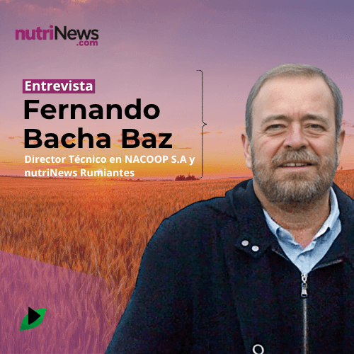 Los AVANCES en la INVESTIGACIÓN de NUEVAS MATERIAS PRIMAS con Fernando Bacha