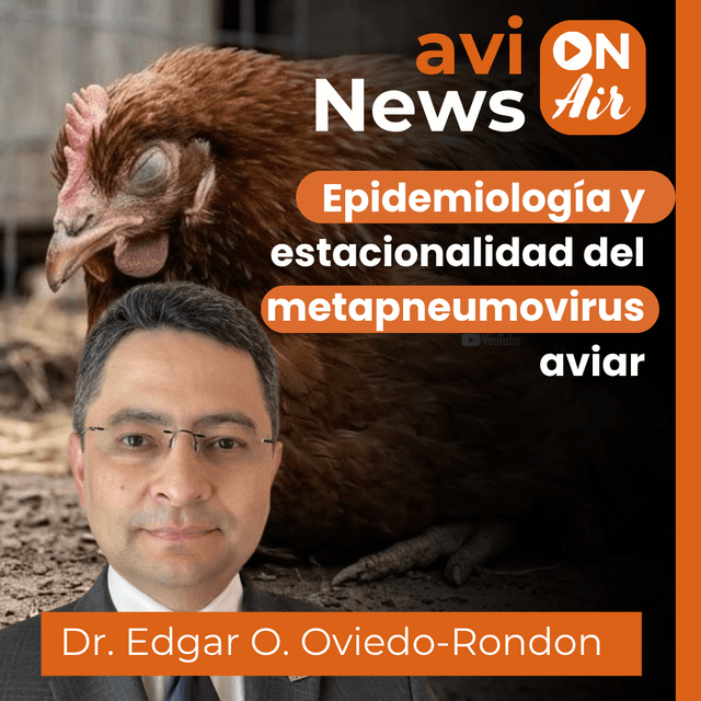 Epidemiología y estacionalidad del metapneumovirus aviar | Entrevista con Edgar Oviedo